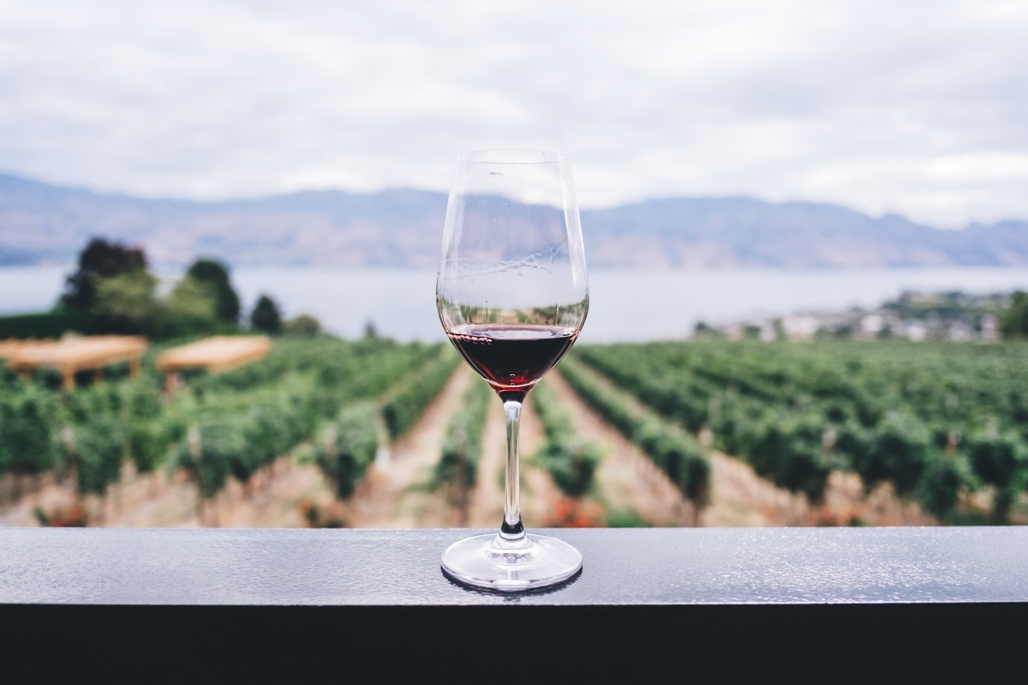 From Vineyard to Glass: The Role of AI